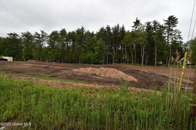5105 Western Tpke, Altamont, NY 12009 - photo 4