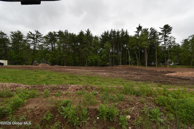 5105 Western Tpke, Altamont, NY 12009 - photo 6