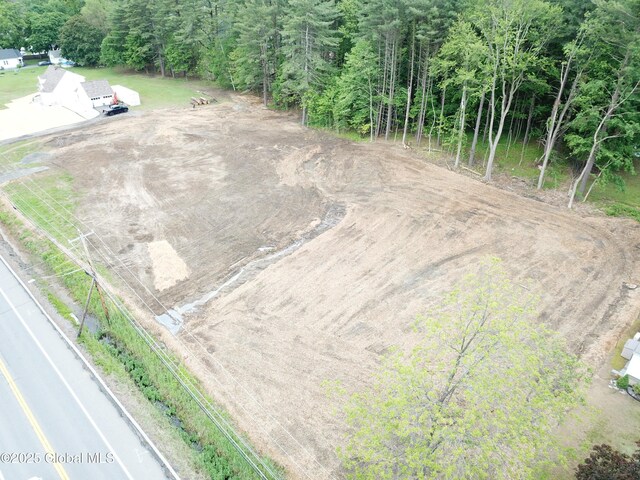 5105 Western Tpke, Altamont, NY 12009 - photo 11