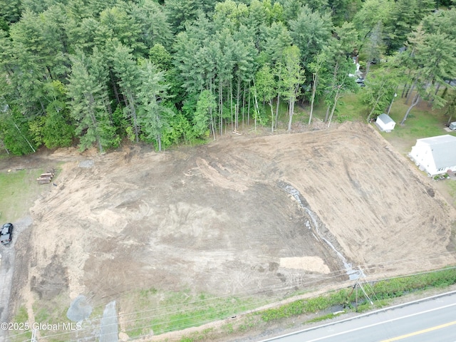 5105 Western Tpke, Altamont, NY 12009 - photo 13