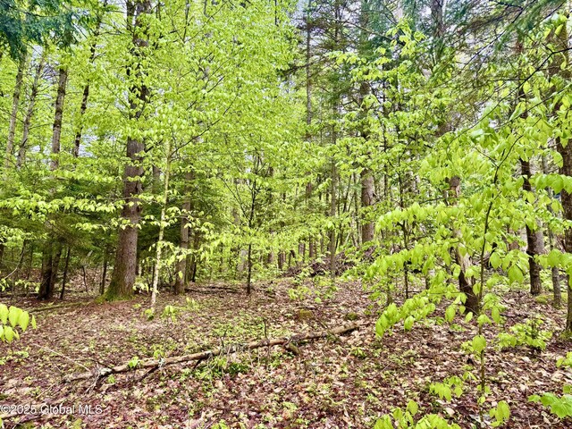 L18 Woods Hollow Dr, Bolton, NY 12814