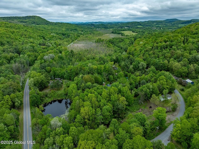 1038 Vly Summit Rd, Cambridge, NY 12834 - bird's eye view of a heavily wooded area and a nearby body of water