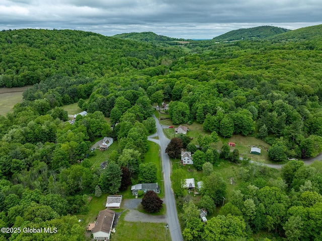 1038 Vly Summit Rd, Cambridge, NY 12834 - aerial overview of property's location with a forest