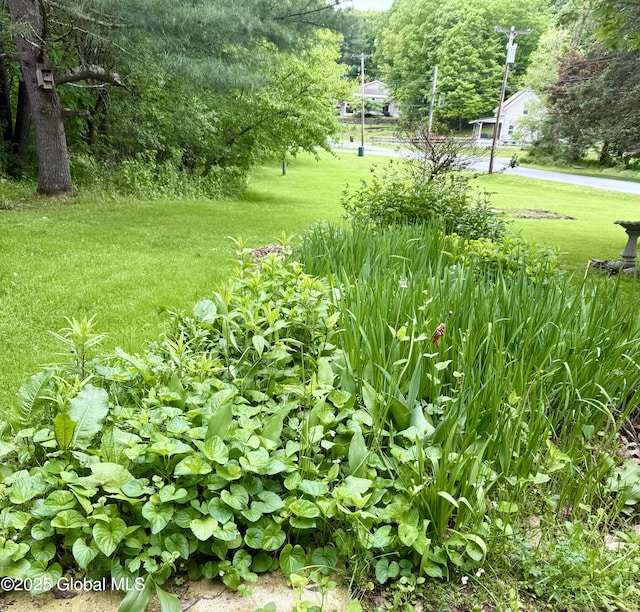 1038 Vly Summit Rd, Cambridge, NY 12834 - view of grassy yard