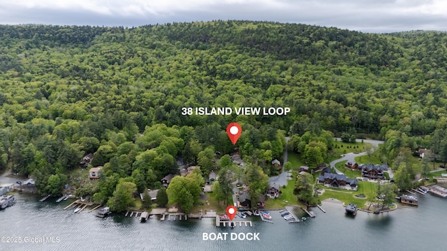 38 N Island Rd, Bolton, NY 12814 - view of property location with a forest and a large body of water