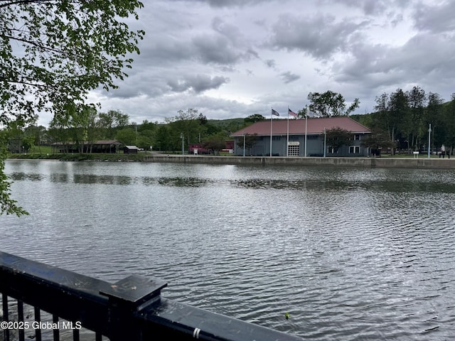 31 Williams St, Whitehall Village, NY 12887 - water view