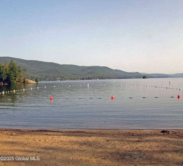 31 Williams St, Whitehall Village, NY 12887 - water view with mountains