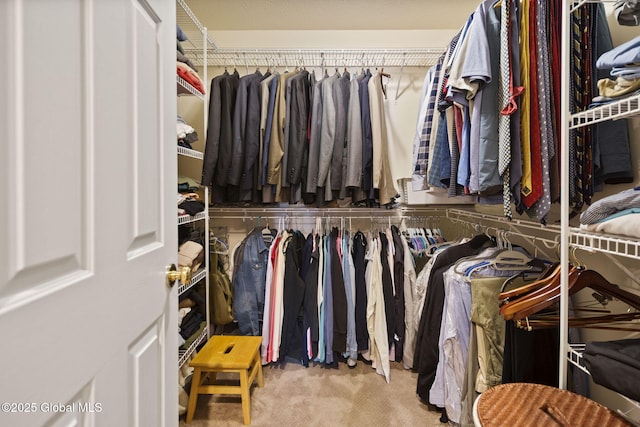 6 Copenhagen Ct, Colonie, NY 12047 - walk in closet with carpet floors