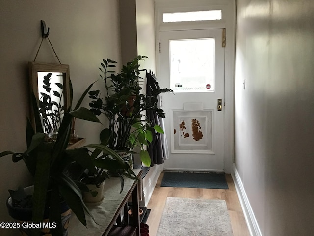 281 10th St, Troy, NY 12180 - doorway featuring wood finished floors