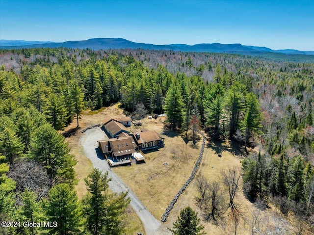 399 Loch Muller Rd, Schroon, NY 12870 - view from above of property featuring a heavily wooded area and mountains