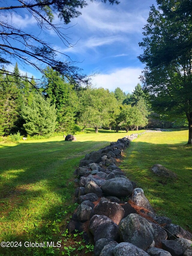 399 Loch Muller Rd, Schroon, NY 12870 - view of grassy yard
