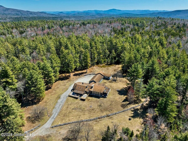 399 Loch Muller Rd, Schroon, NY 12870 - aerial overview of property's location with a forest and mountains