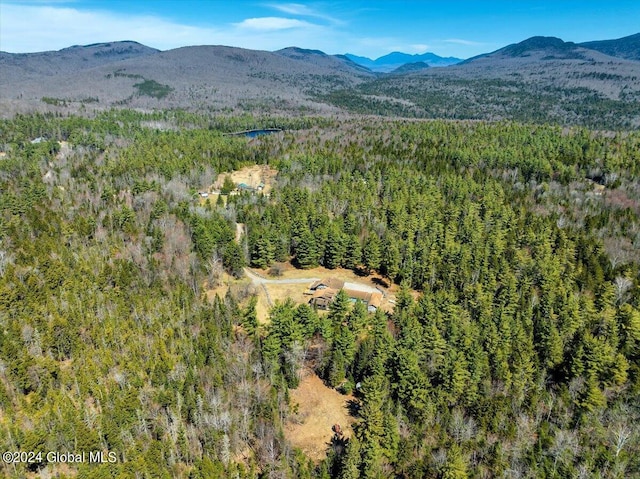 399 Loch Muller Rd, Schroon, NY 12870 - view of mountain background featuring a heavily wooded area