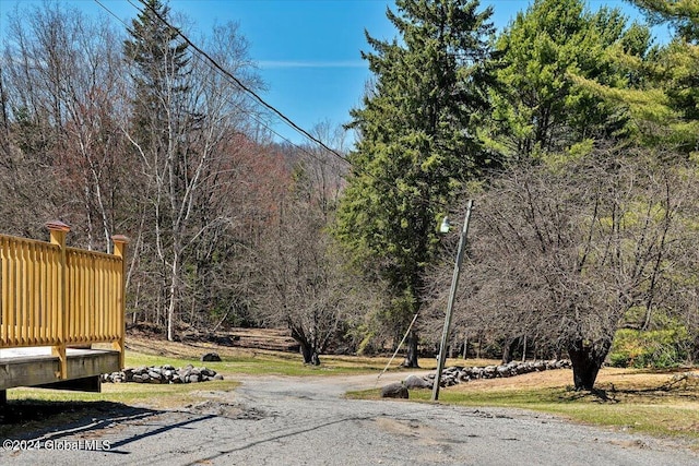 399 Loch Muller Rd, Schroon, NY 12870 - view of asphalt road