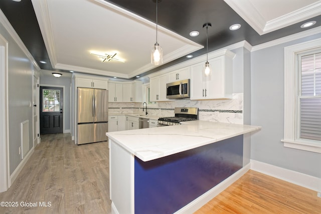 35 Wallace St, Scotia, NY 12302 - kitchen with appliances with stainless steel finishes, a raised ceiling, crown molding, a sink, and light wood-type flooring