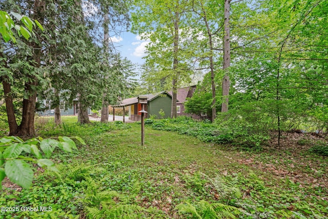 406 Northern Pines Rd, Wilton, NY 12831 - view of yard