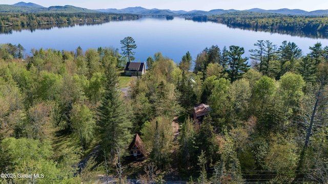 103 Pine Cone Ln, Lake Pleasant, NY 12108 - photo 14