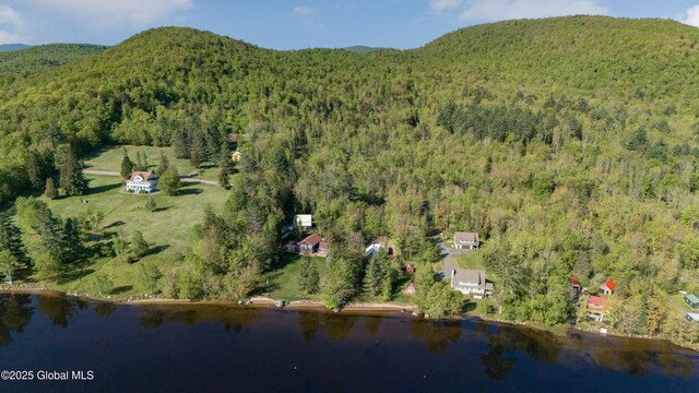 103 Pine Cone Ln, Lake Pleasant, NY 12108 - photo 24