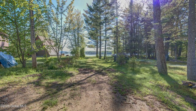 103 Pine Cone Ln, Lake Pleasant, NY 12108 - photo 16