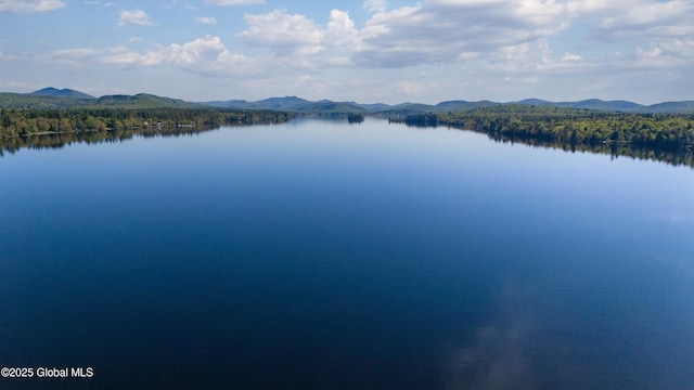 103 Pine Cone Ln, Lake Pleasant, NY 12108 - photo 56
