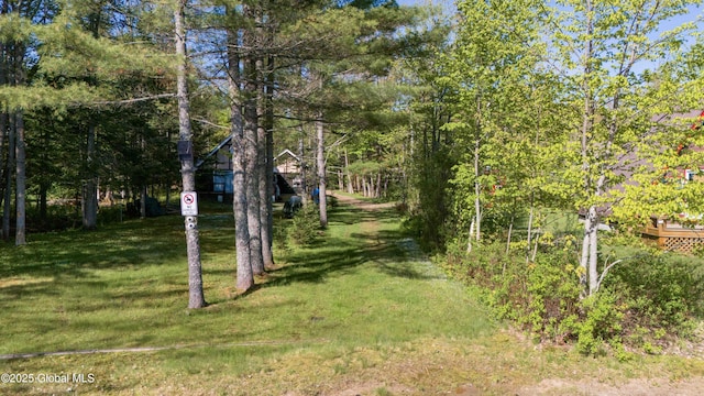 103 Pine Cone Ln, Lake Pleasant, NY 12108 - photo 26