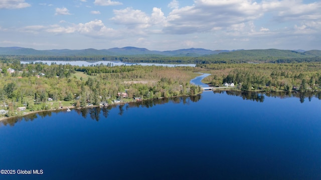 103 Pine Cone Ln, Lake Pleasant, NY 12108 - photo 55
