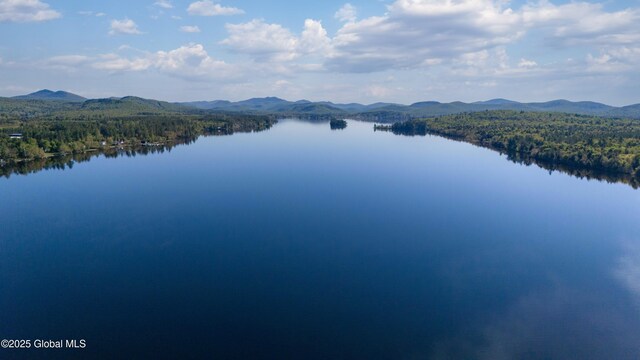 103 Pine Cone Ln, Lake Pleasant, NY 12108 - photo 54