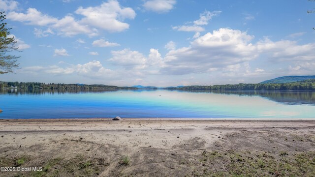 103 Pine Cone Ln, Lake Pleasant, NY 12108 - photo 20