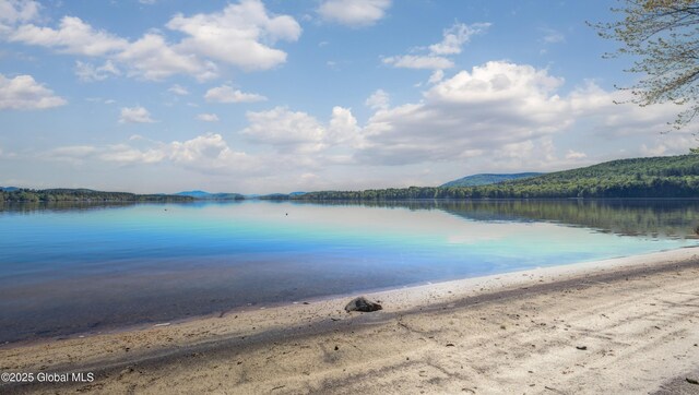103 Pine Cone Ln, Lake Pleasant, NY 12108 - photo 19