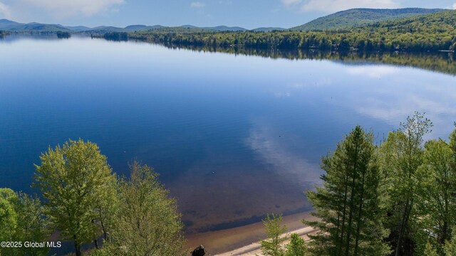 103 Pine Cone Ln, Lake Pleasant, NY 12108 - photo 25