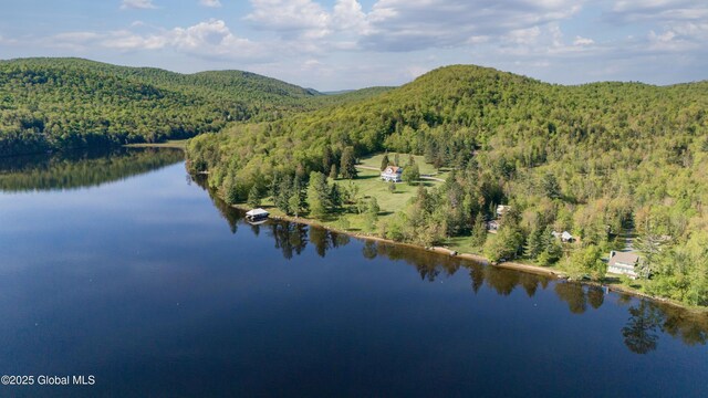 103 Pine Cone Ln, Lake Pleasant, NY 12108 - photo 57