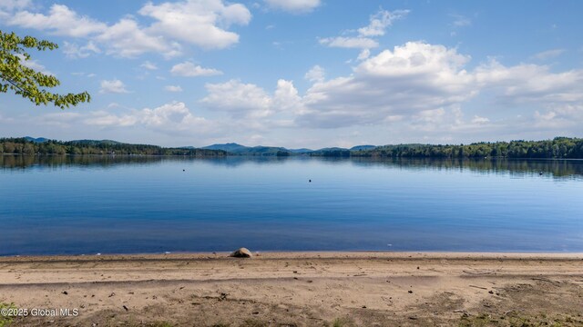103 Pine Cone Ln, Lake Pleasant, NY 12108 - photo 18