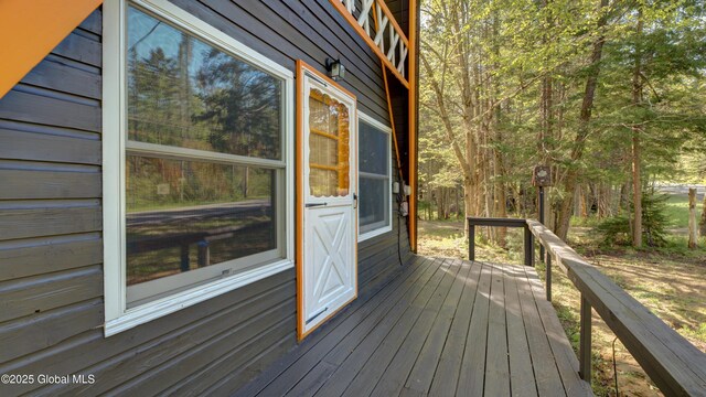 103 Pine Cone Ln, Lake Pleasant, NY 12108 - photo 9