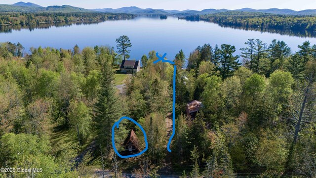 103 Pine Cone Ln, Lake Pleasant, NY 12108 - photo 15