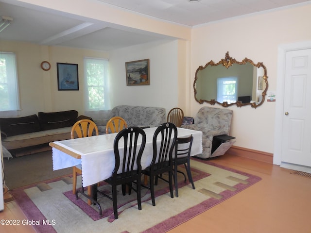 114 Washington St, Sharon Springs, NY 13459 - dining area featuring healthy amount of natural light
