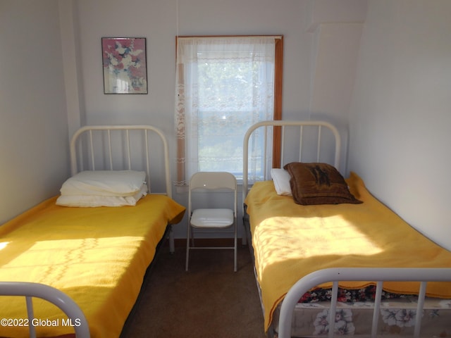 114 Washington St, Sharon Springs, NY 13459 - bedroom with carpet floors