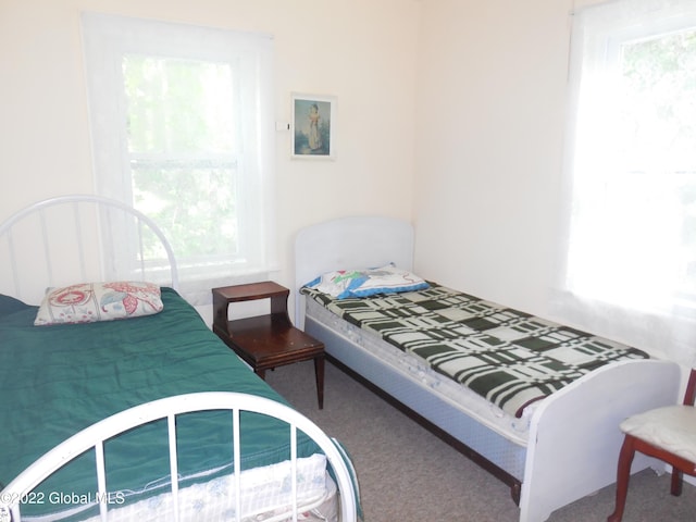 114 Washington St, Sharon Springs, NY 13459 - bedroom with carpet floors