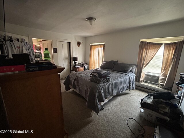 162 Grand St, Schoharie, NY 12157