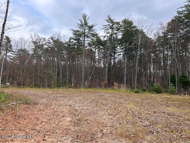 76 S Shore Rd, Providence, NY 12134
