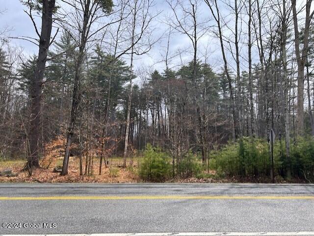 76 S Shore Rd, Providence, NY 12134