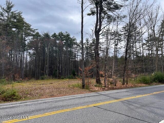 76 S Shore Rd, Providence, NY 12134