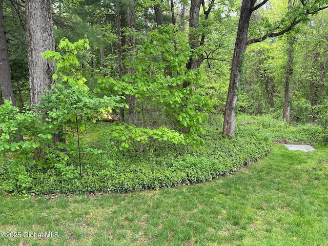 5 Wincrest Dr, Queensbury, NY 12804 - view of yard featuring a view of trees