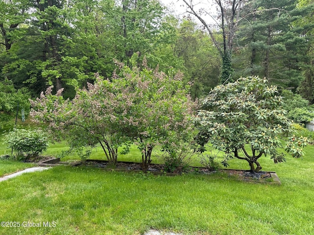 5 Wincrest Dr, Queensbury, NY 12804 - view of yard