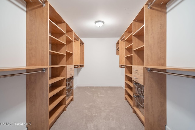 45 Tamarack Ln, Colonie, NY 12309 - walk in closet featuring carpet floors