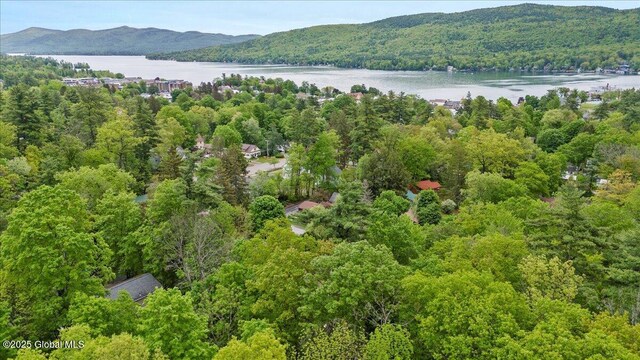 60 Cooper St, Lake George, NY 12845