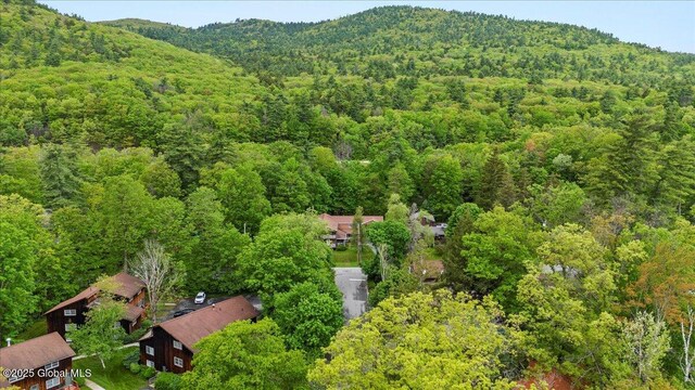 60 Cooper St, Lake George, NY 12845