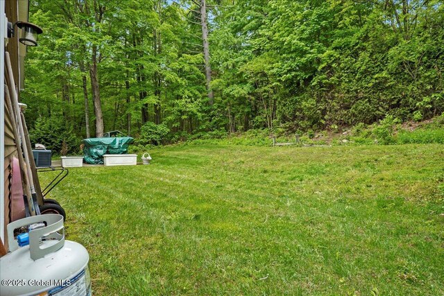 60 Cooper St, Lake George, NY 12845