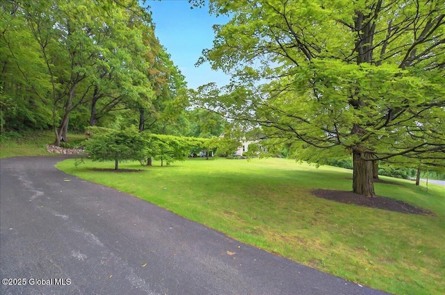 668 Rector Rd, Glenville, NY 12302