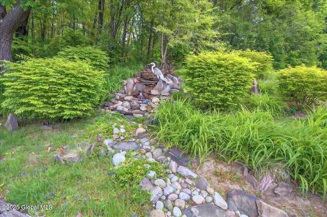 668 Rector Rd, Glenville, NY 12302