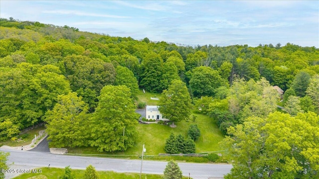 668 Rector Rd, Glenville, NY 12302